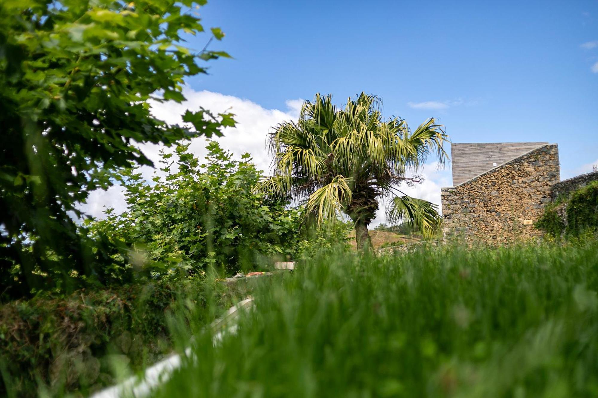 Solar Branco Eco Estate Βίλα Πόντα Ντελγκάντα Εξωτερικό φωτογραφία